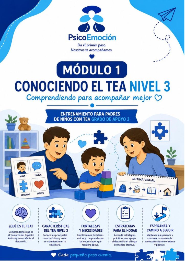 MODULO 1 - CONOCIENDO EL TEA NIVEL 1-001